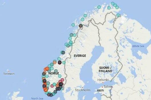 Nye tall: - Solid utvikling i norsk hydrogennæring