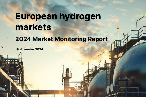 ACER-rapport: Hydrogenmarkedet i Europa tar form, men ikke fort nok 